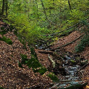 Herbst2