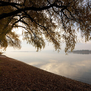 DSC 7211 Herbst am See Forum