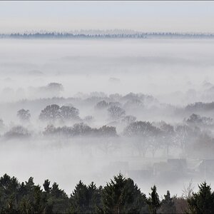Morgennebel in der Hahnheide 06