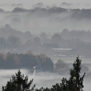 Morgennebel in der Hahnheide 13