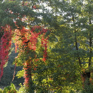 herbst 2a JKK 0076