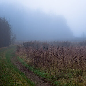 Nebel2