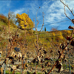 DSC 0036 Kopie