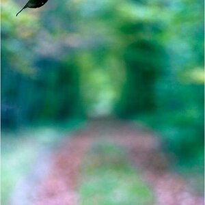 FlugblattDSC 0119