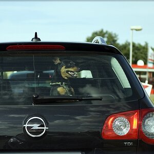 im wagen vor mir...