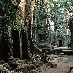 Ta Prohm - Innenhof

[ Nikon F6 | AF-S 28-70mm/2.8 | Fuji Velvia 50 ]