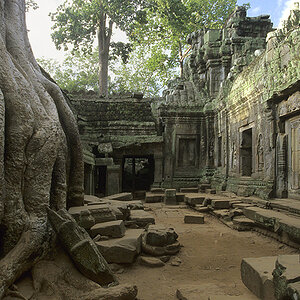 Ta Prohm - Wurzelriese

[ Nikon F6 | AF-S 17-35mm/2.8 | Fuji Velvia 50 ]