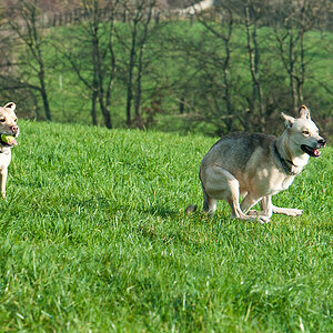 Sinas neuer Freund3
