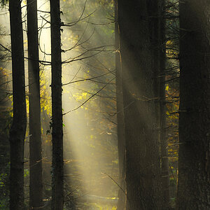 Herbst 35