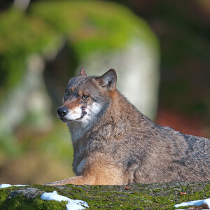 10M 6593 bearbeitet 1