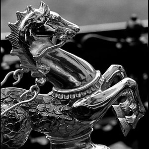 Venedig 11 2010 118