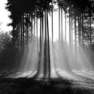 Licht sw 03