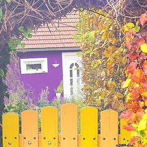 comp Bunter Herbst