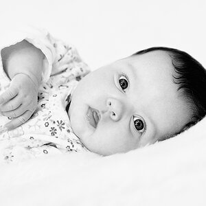 Baby Stein sw 002