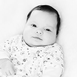 Baby Stein sw 008