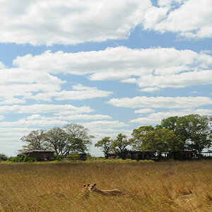 DSC3985 NFF