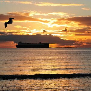 Borkum: Sonnenuntergang Weststrand (MHX 5801USMx)