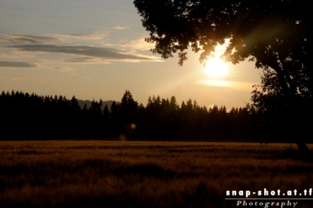 © www.snap-shot.at.tf