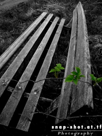 © www.snap-shot.at.tf