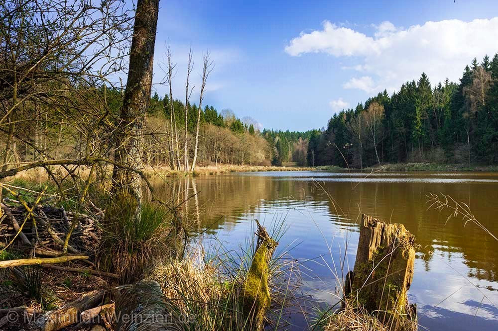 ©MaximilianWeinzierl©MaximilianWeinzierlDF1 3417