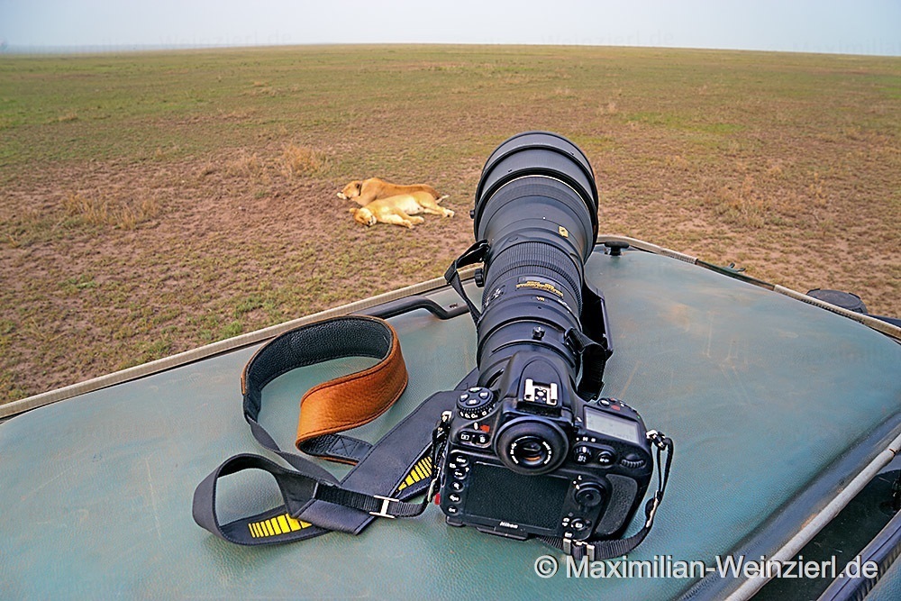 ©MaximilianWeinzierl©MaximilianWeinzierlHeavyMini2
