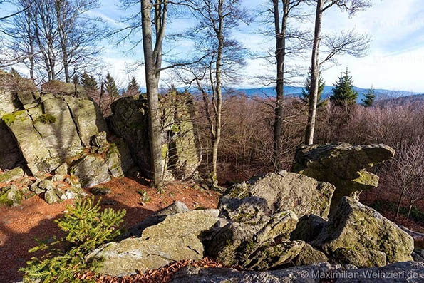 ©MaximilianWeinzierl©MaximilianWeinzierlM81 5591
