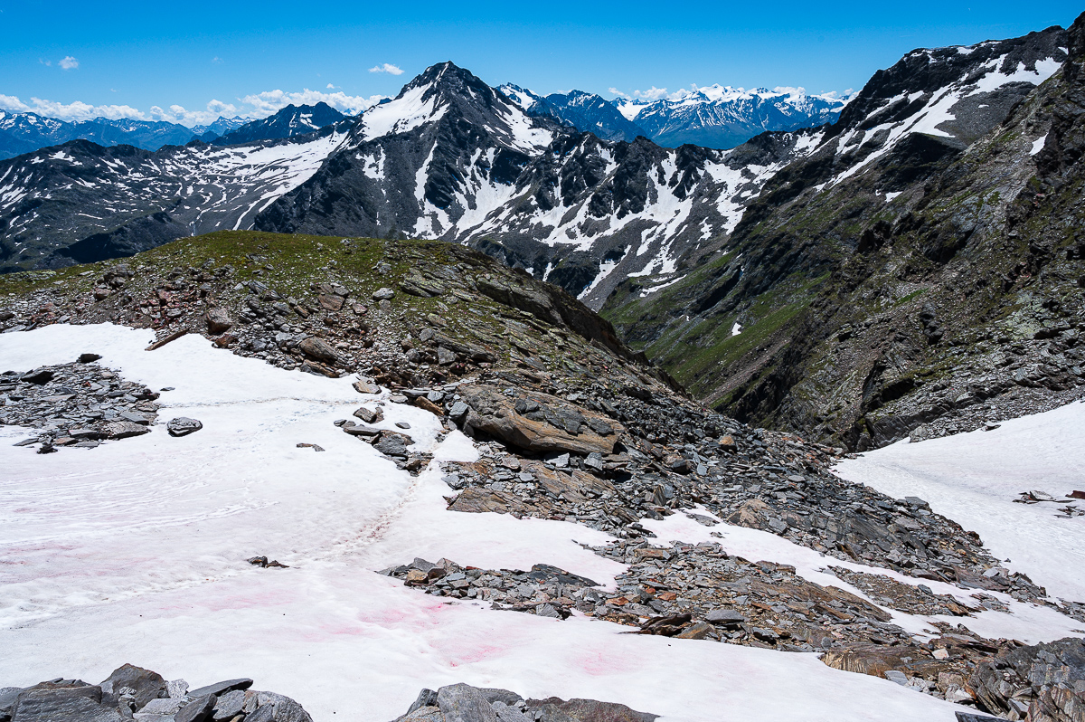 Ötztaler Alpen im Frühsommer-"Blutschnee" im Vordergrund1643.jpg