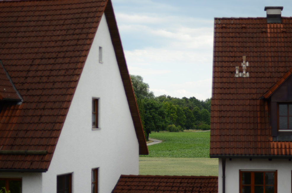 Übersicht (Nokton 58/1.4 @ f/1.4),
Fokus auf unendlich / den Bäumen