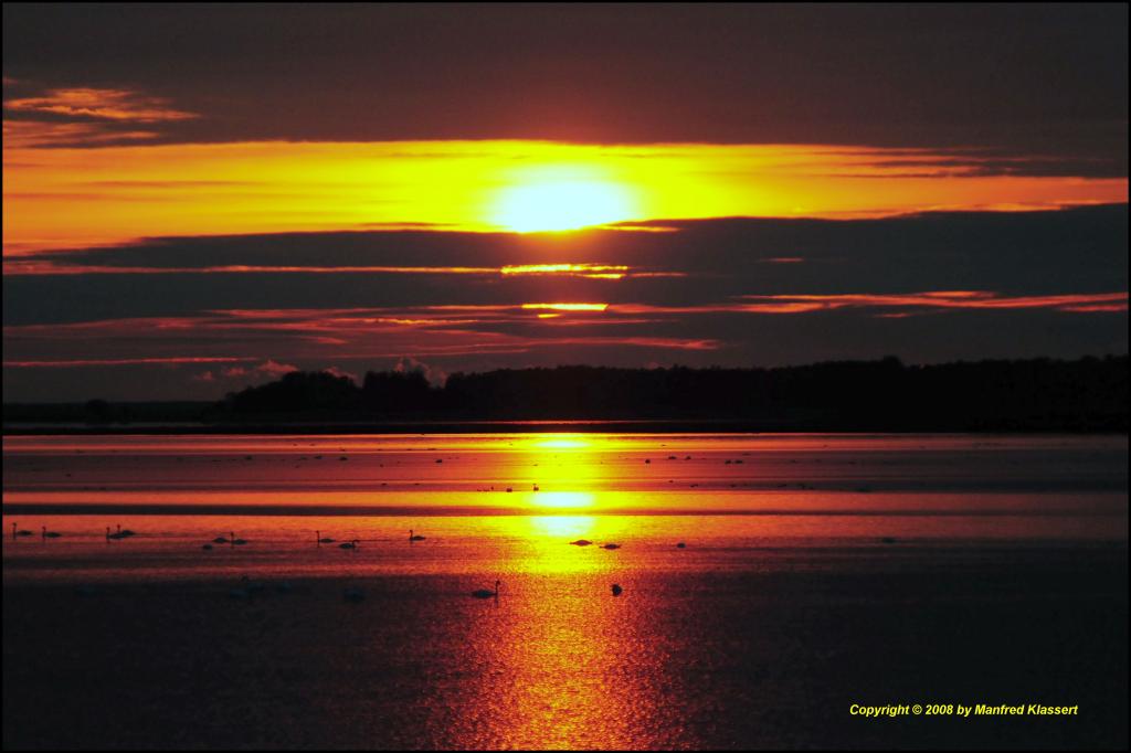 •Afterglow•
Sonnenuntergang im "Nationalpark Vorpommersche Boddenlandschaft"
Nikon D300 mit Nikkor AF 2,8/80-200mm IF D ED