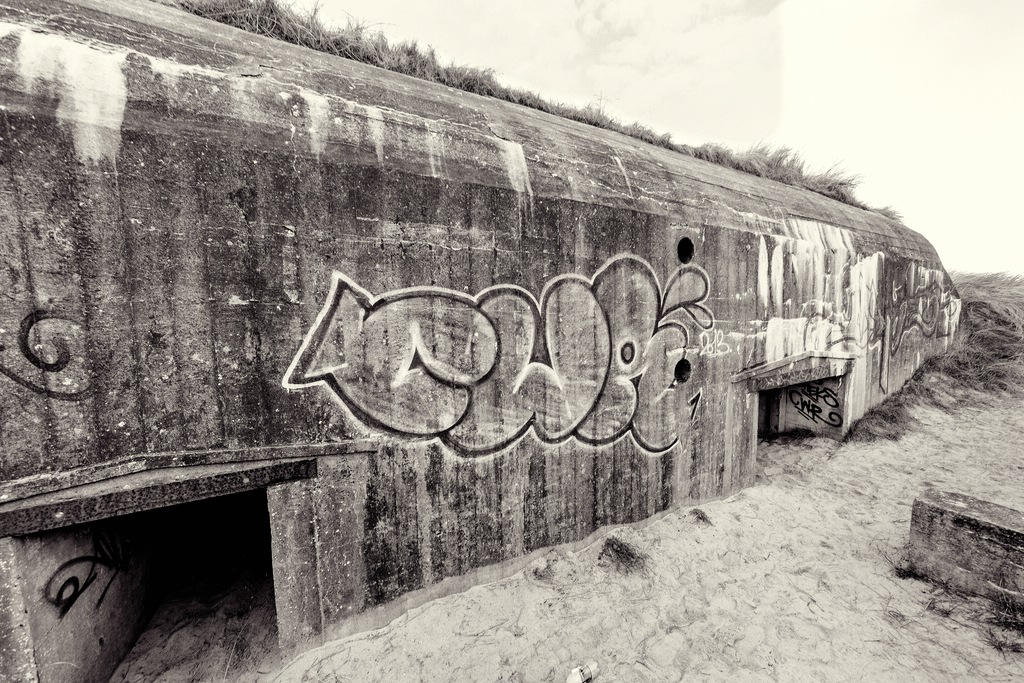 00 ZIM 0486 SW