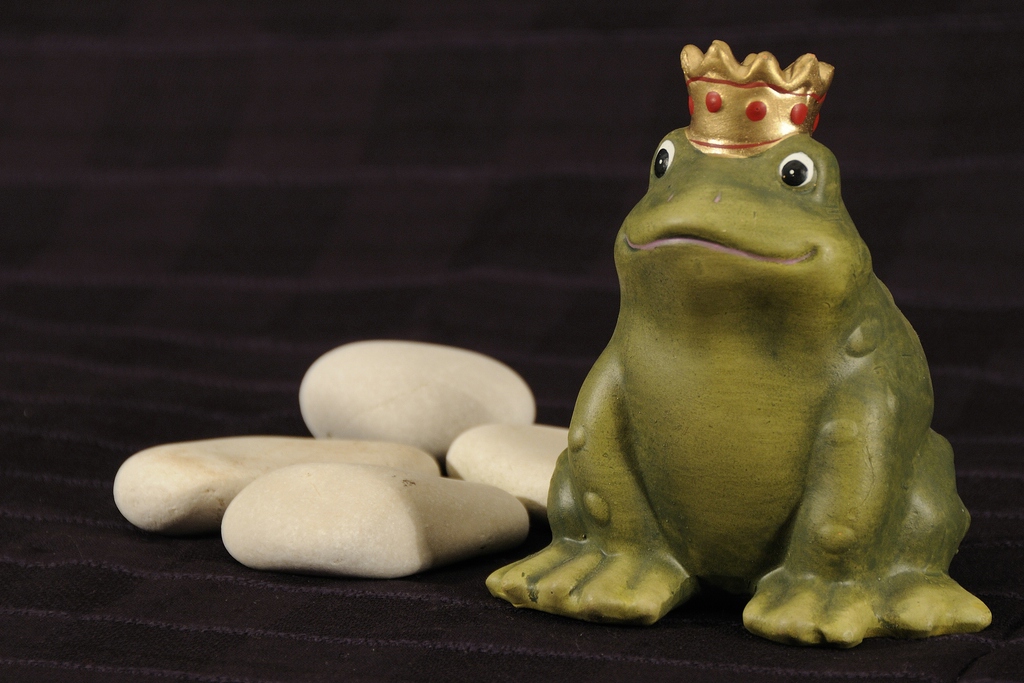 0002 Bild Frosch RKZ9111 BL8 1 30 170mm 3230K Iso400