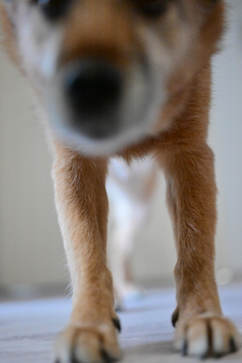 000_0378.jpg