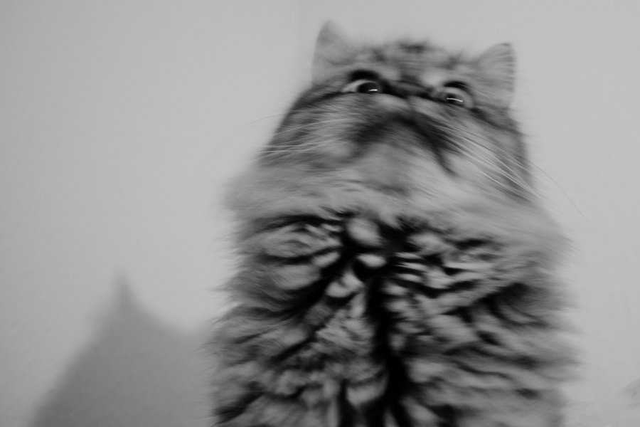 0010