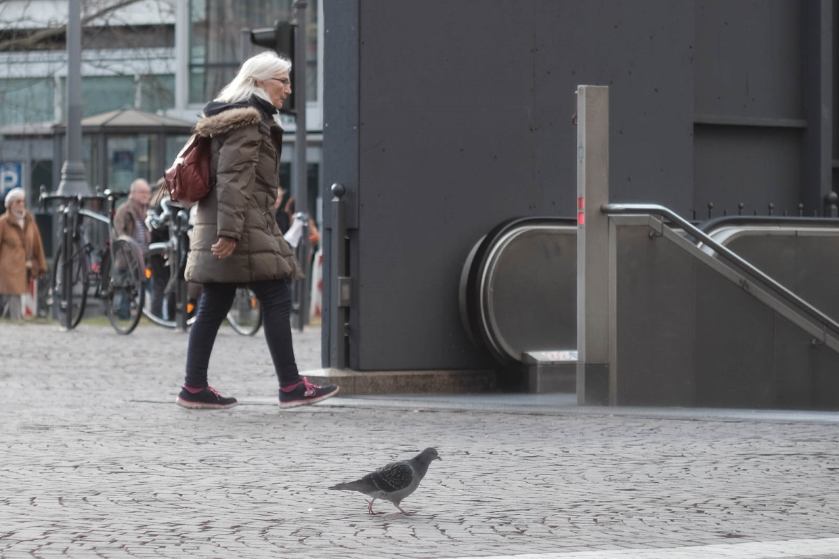 004-street.jpg
