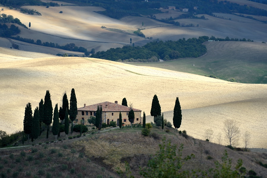 00920091016 153935  DSC6270Toskana