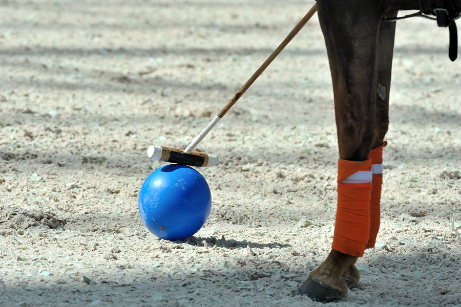 01 20100425 152627 airport polo