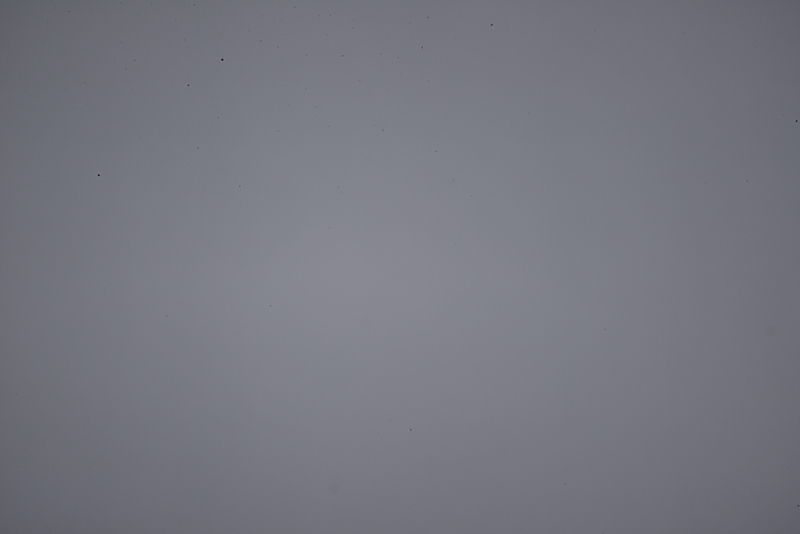 01 F22 vor ausblasen 800
