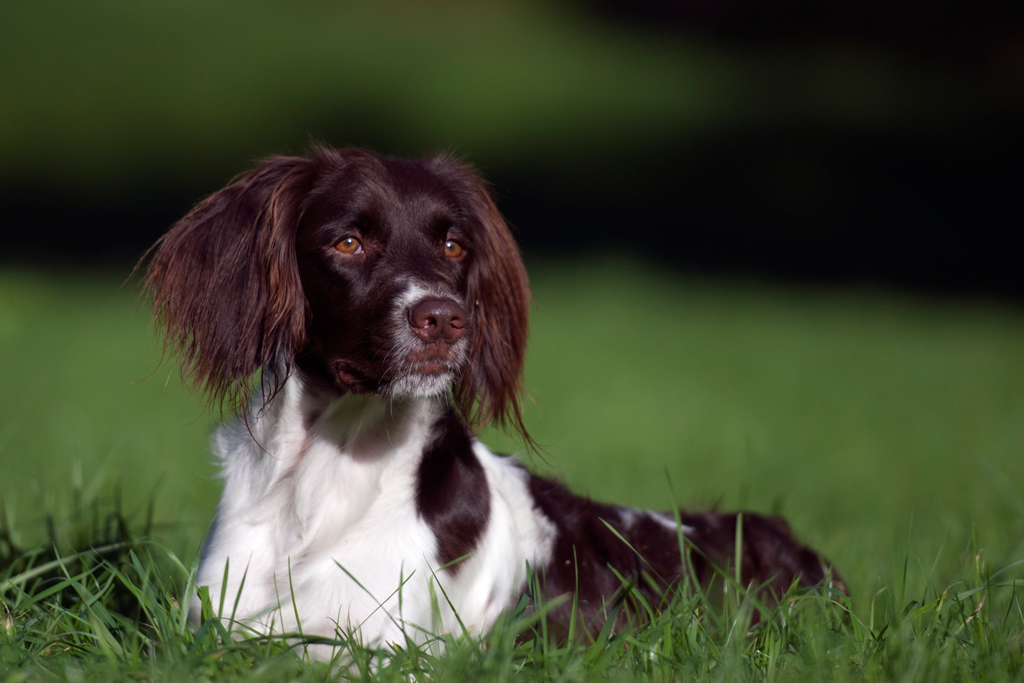 01102011Lilli229