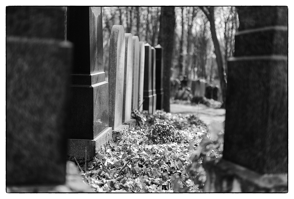 014 F007608c