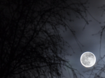 02.01.10 ca 19:50 erstes Bild....