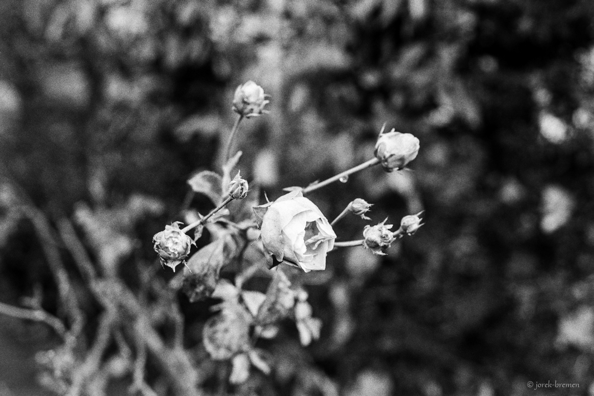 02-030.jpg
