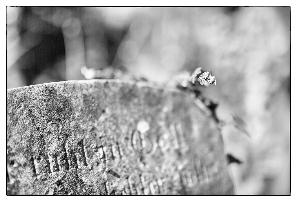 025 F007808c