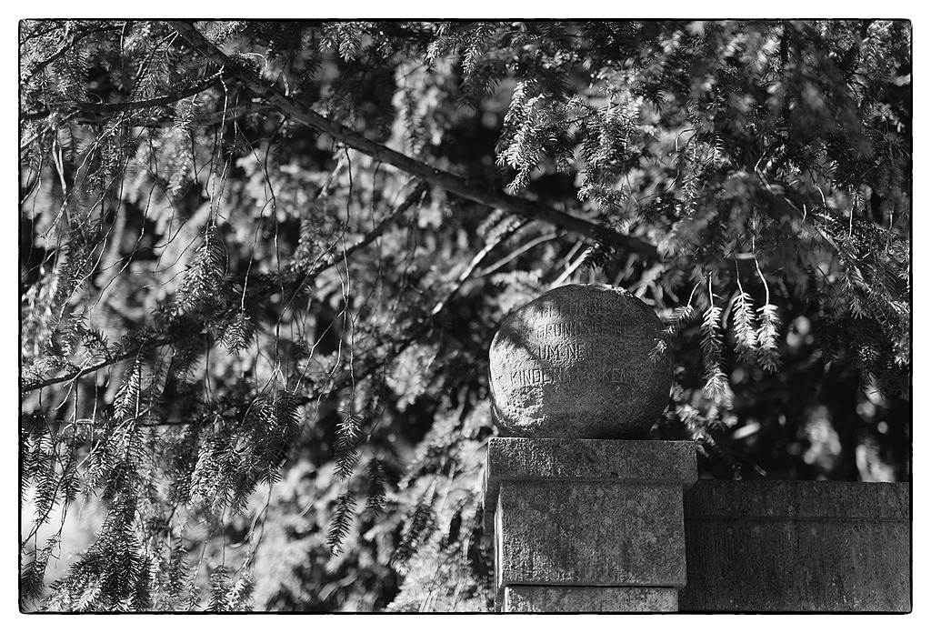 027 F007797c