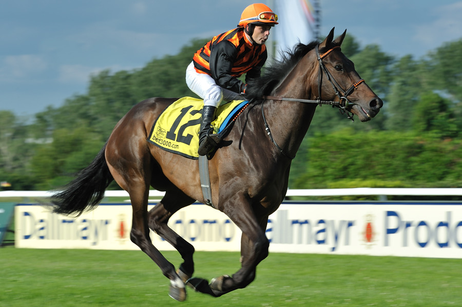 02_20100725 182144 dallmayr preis 01