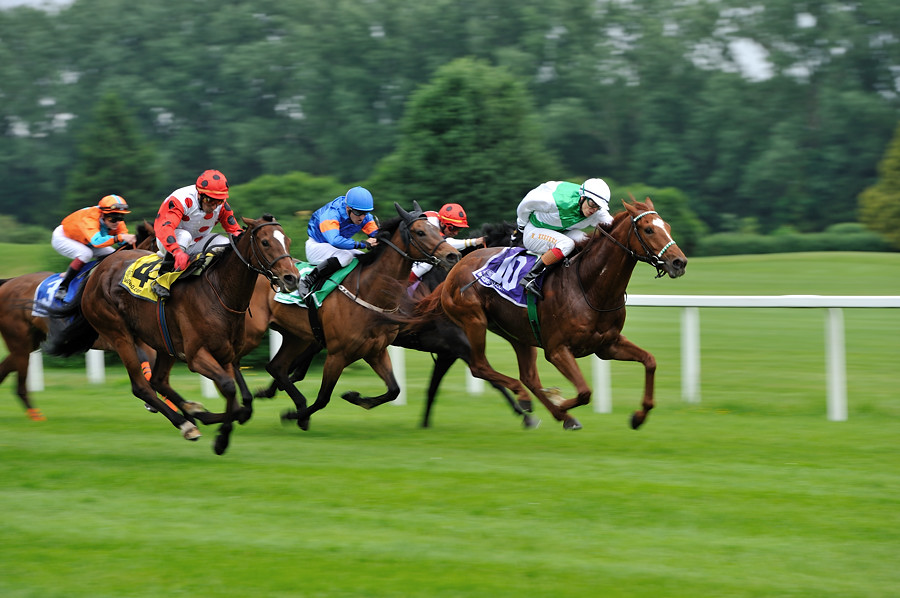 03 20100613 150735 galopp muenchen 03