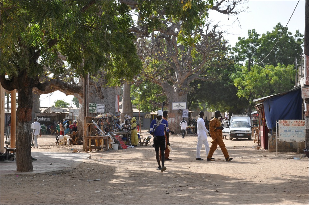 03comp Senegal 3 101