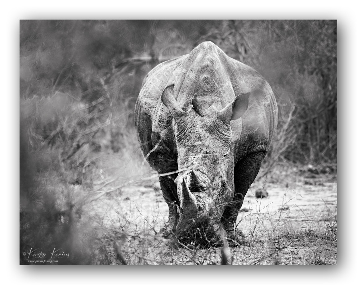 03K 0457 Rahmen BW