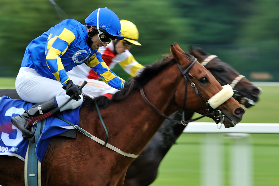 04 20100613 135639 galopp muenchen