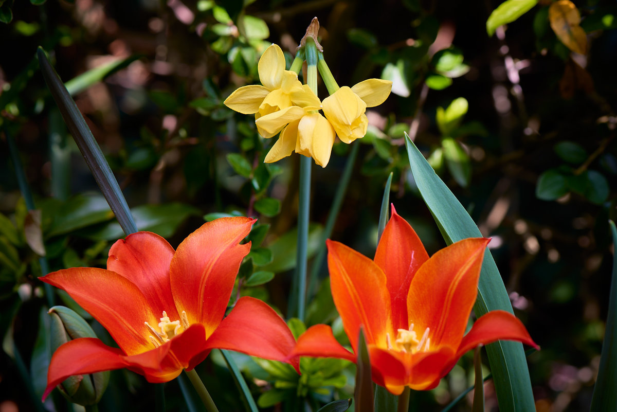 0418_1314_D8H_6412.jpg