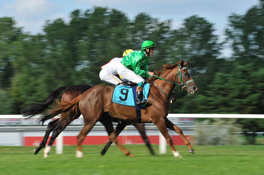 04_20100725 174615 dallmayr preis